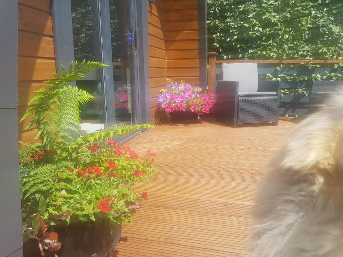 Glamorous Glamping Belmullet Buitenkant foto